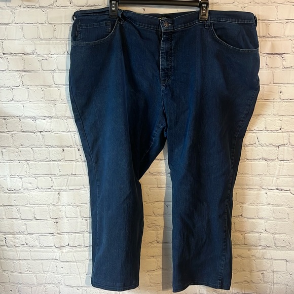 Lee straight leg classic fit petite plus size jeans. Great condition. No tears - Picture 1 of 6